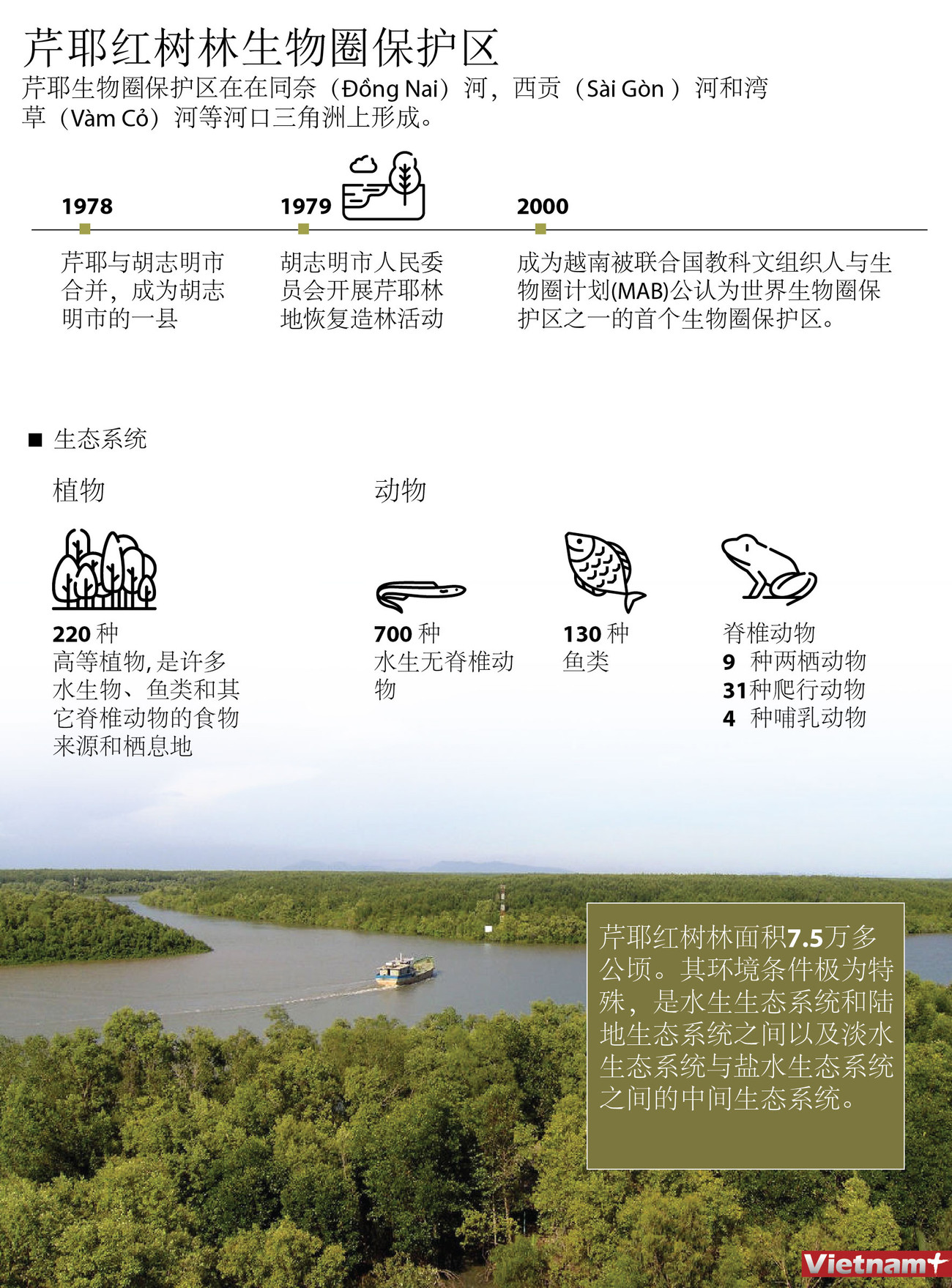 图表新闻：芹耶红树林生物圈保护区 ảnh 1
