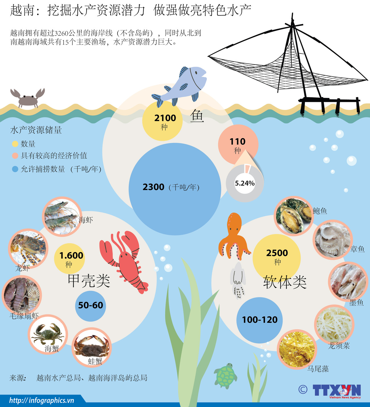 图表新闻：越南挖掘水产资源潜力 做强做亮特色水产 ảnh 1