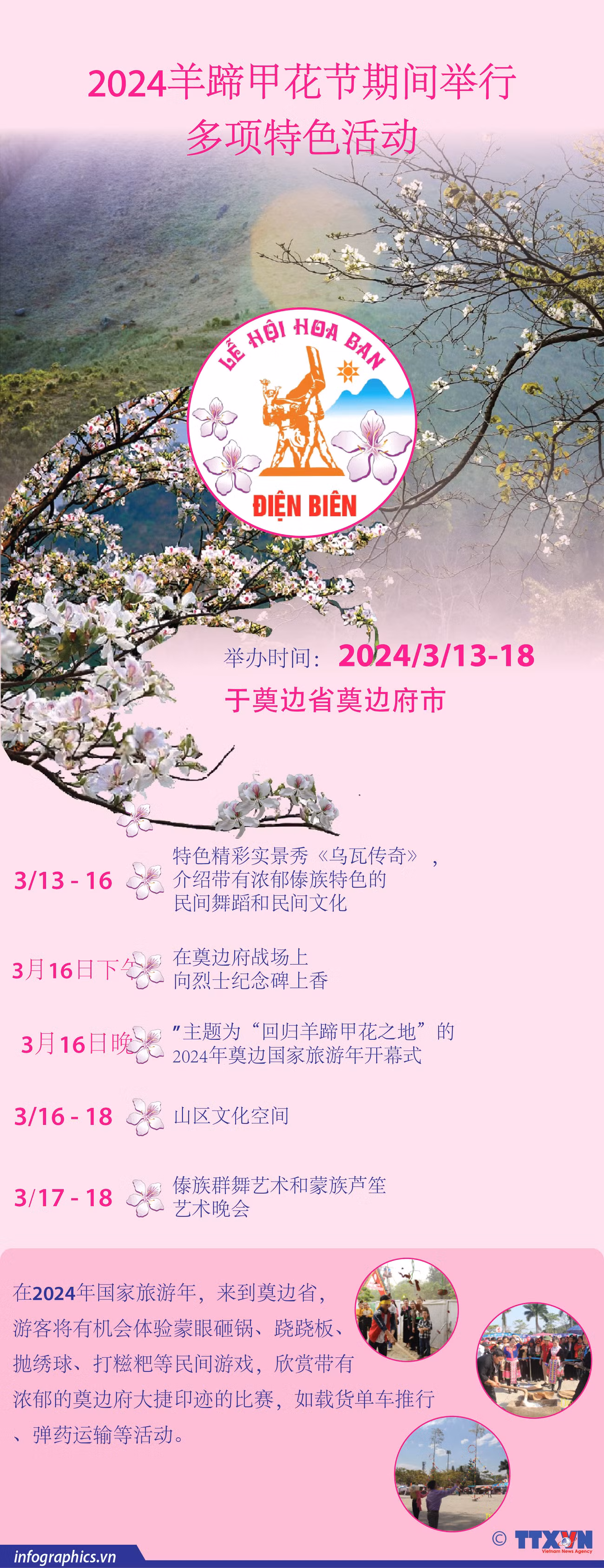 图表新闻：2024年羊蹄甲花节期间举行多项特色活动 ảnh 1