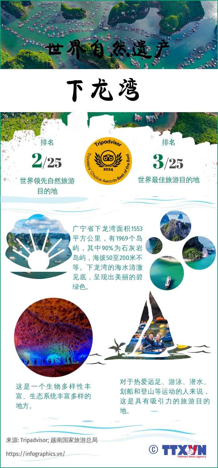 图表新闻：世界自然遗产下龙湾——世界领先自然旅游目的地之一 ảnh 1