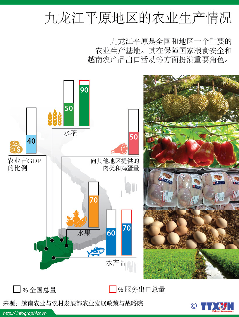九龙江平原地区的农业生产情况 ảnh 1