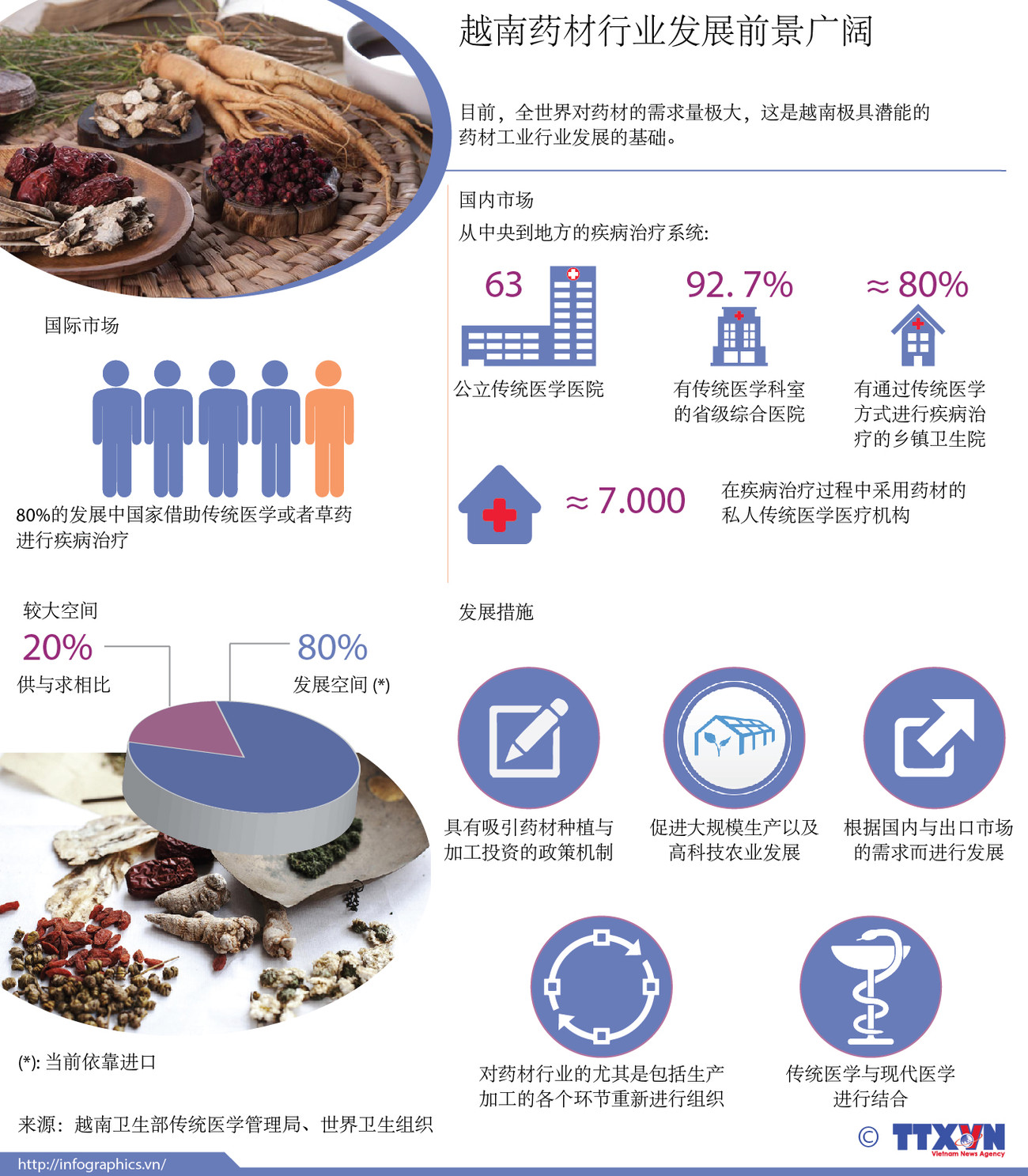  图表新闻：越南药材行业发展前景广阔 ảnh 1