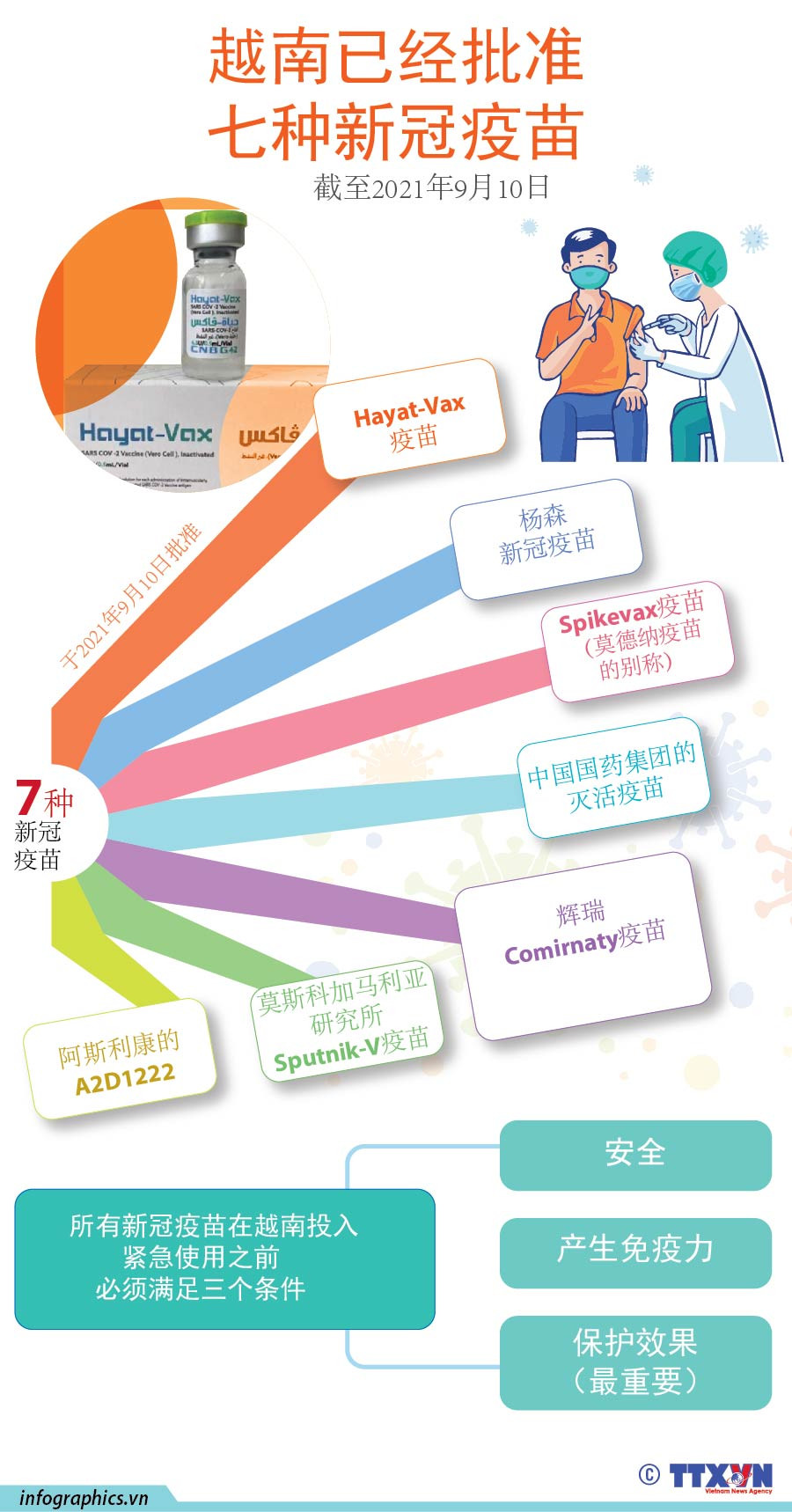 图表新闻：越南已经批准七种新冠疫苗 ảnh 1