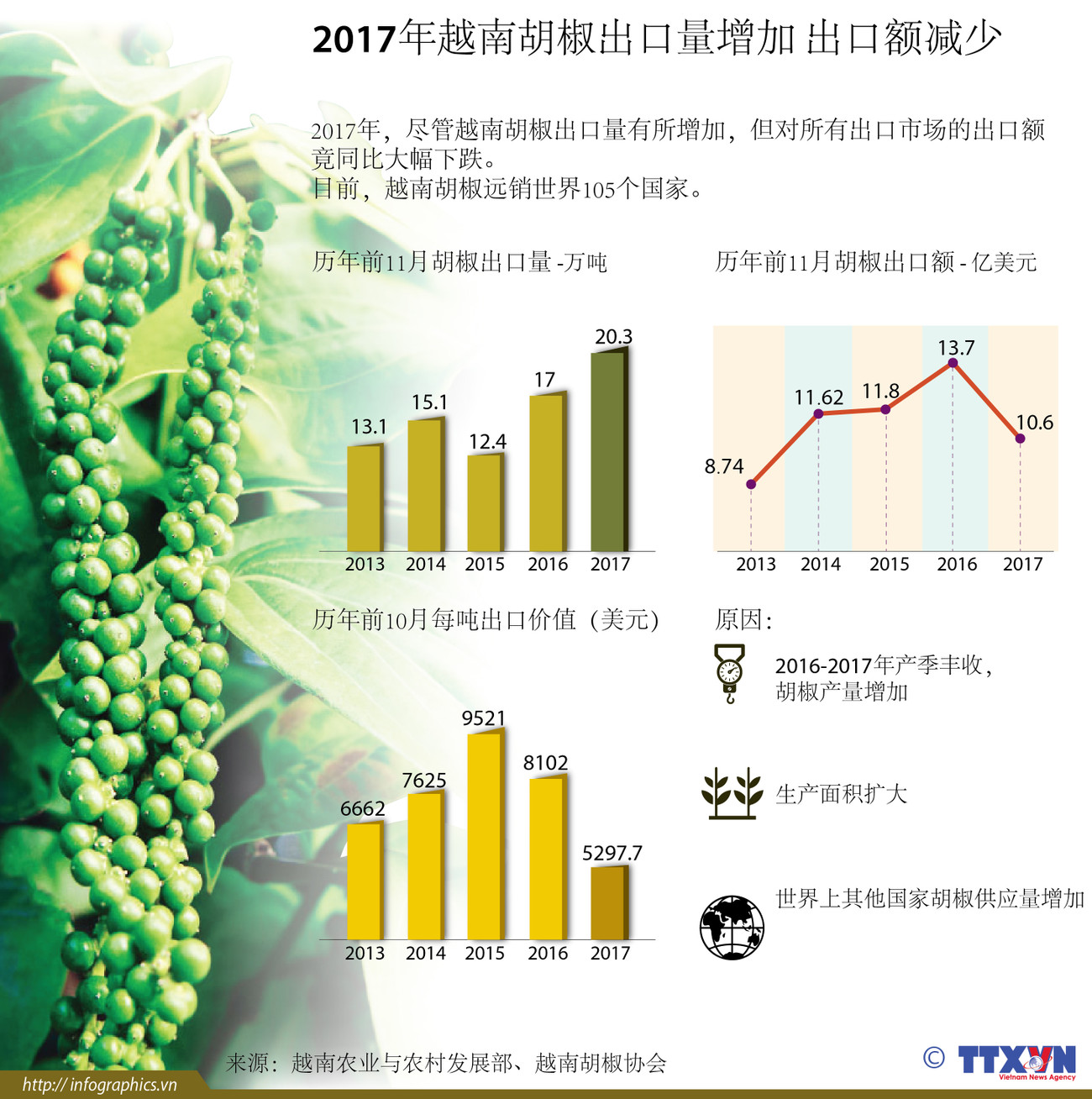图表新闻：2017年越南胡椒出口量增加 出口额减少 ảnh 1
