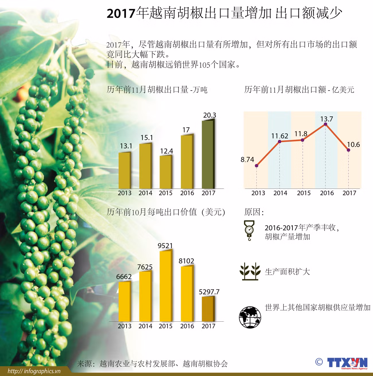 图表新闻：2017年越南胡椒出口量增加 出口额减少 ảnh 1
