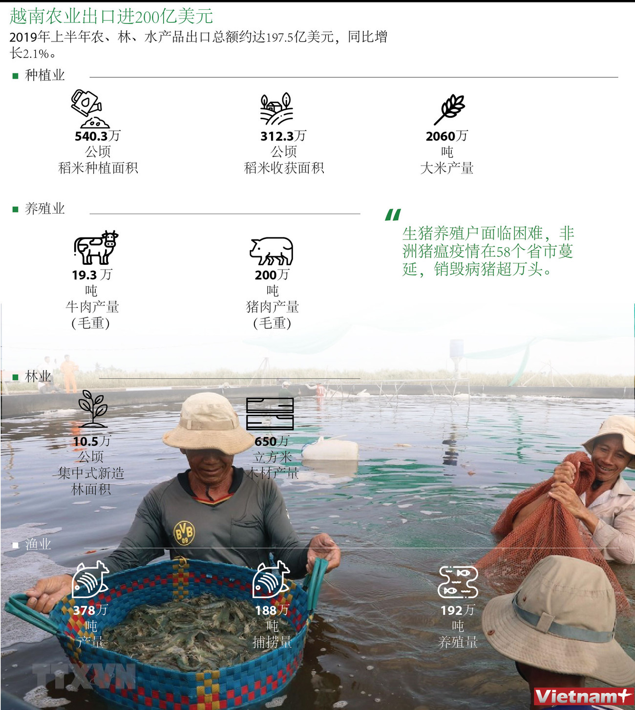 图表新闻：越南农业出口进200亿美元 ảnh 1