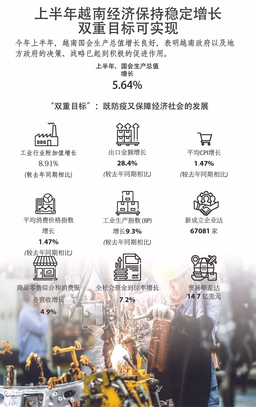 图表新闻：上半年越南经济保持稳定增长 双重目标可实现 ảnh 1