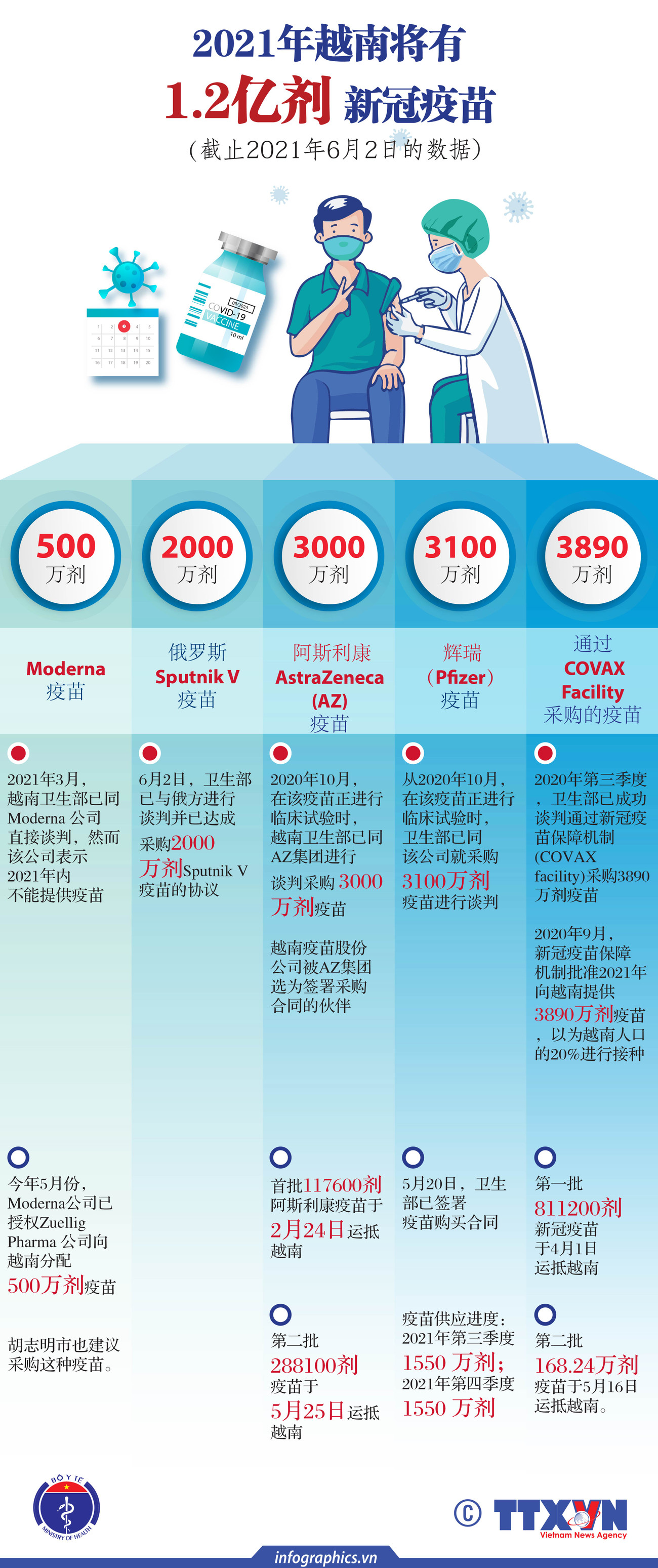图表新闻：2021年越南将有1.2亿剂新冠疫苗 ảnh 1