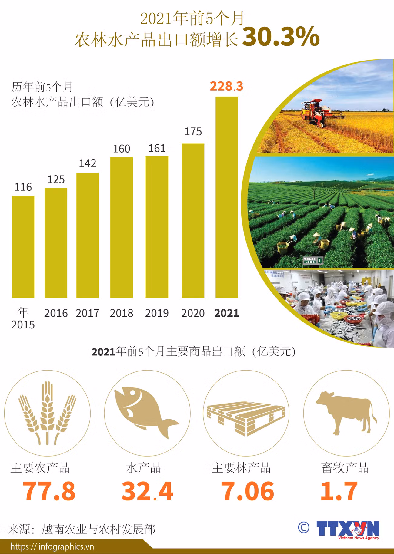 图表新闻：2021年前5个月农林水产品出口增长30.3% ảnh 1