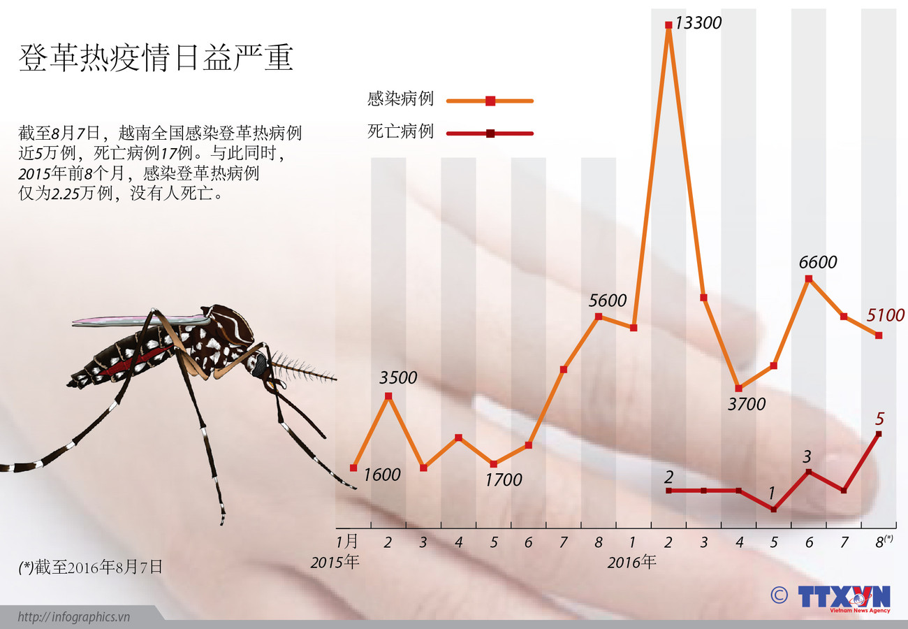 登革热疫情日益严重 ảnh 1