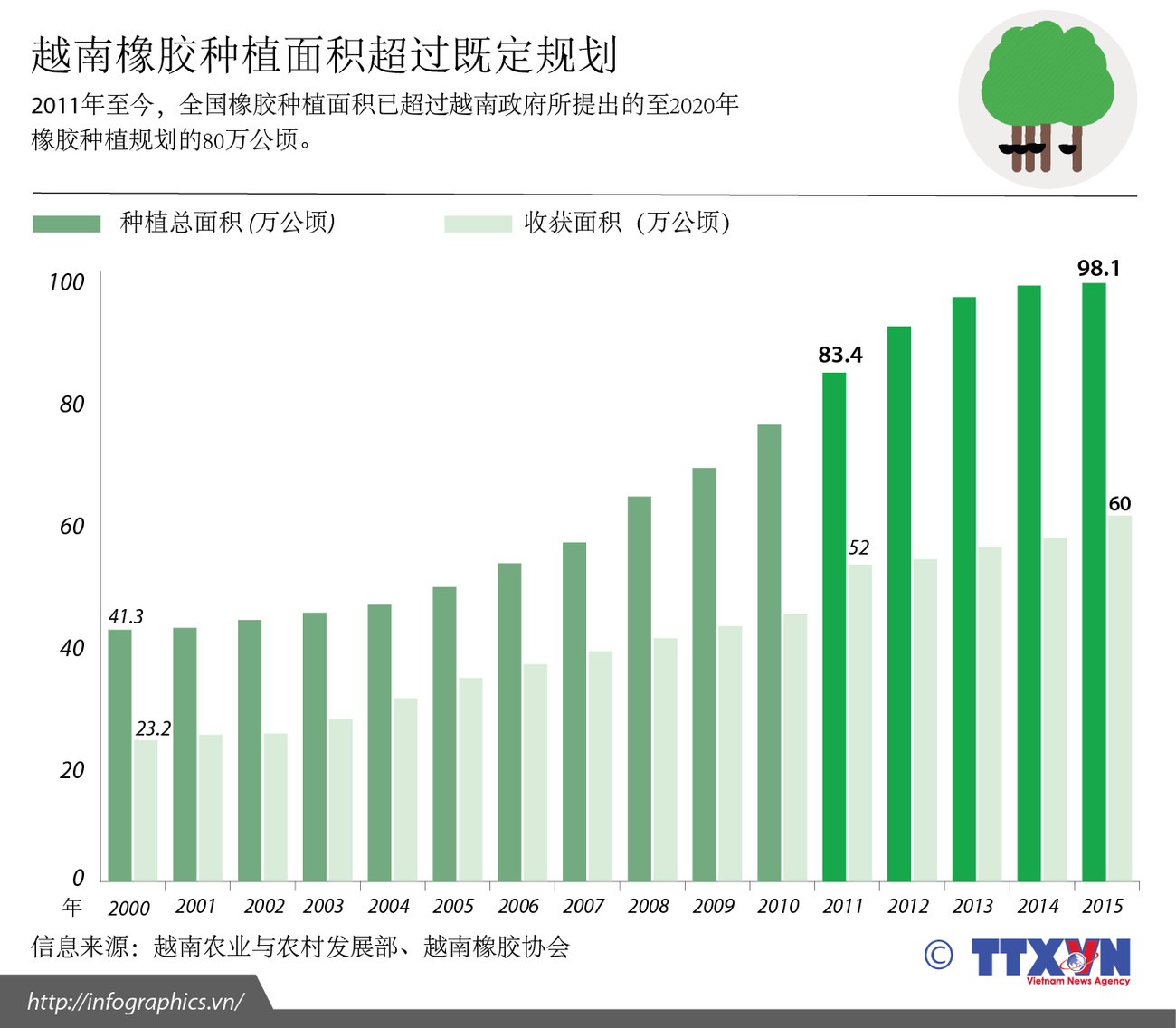 越南橡胶种植面积超过既定规划 ảnh 1
