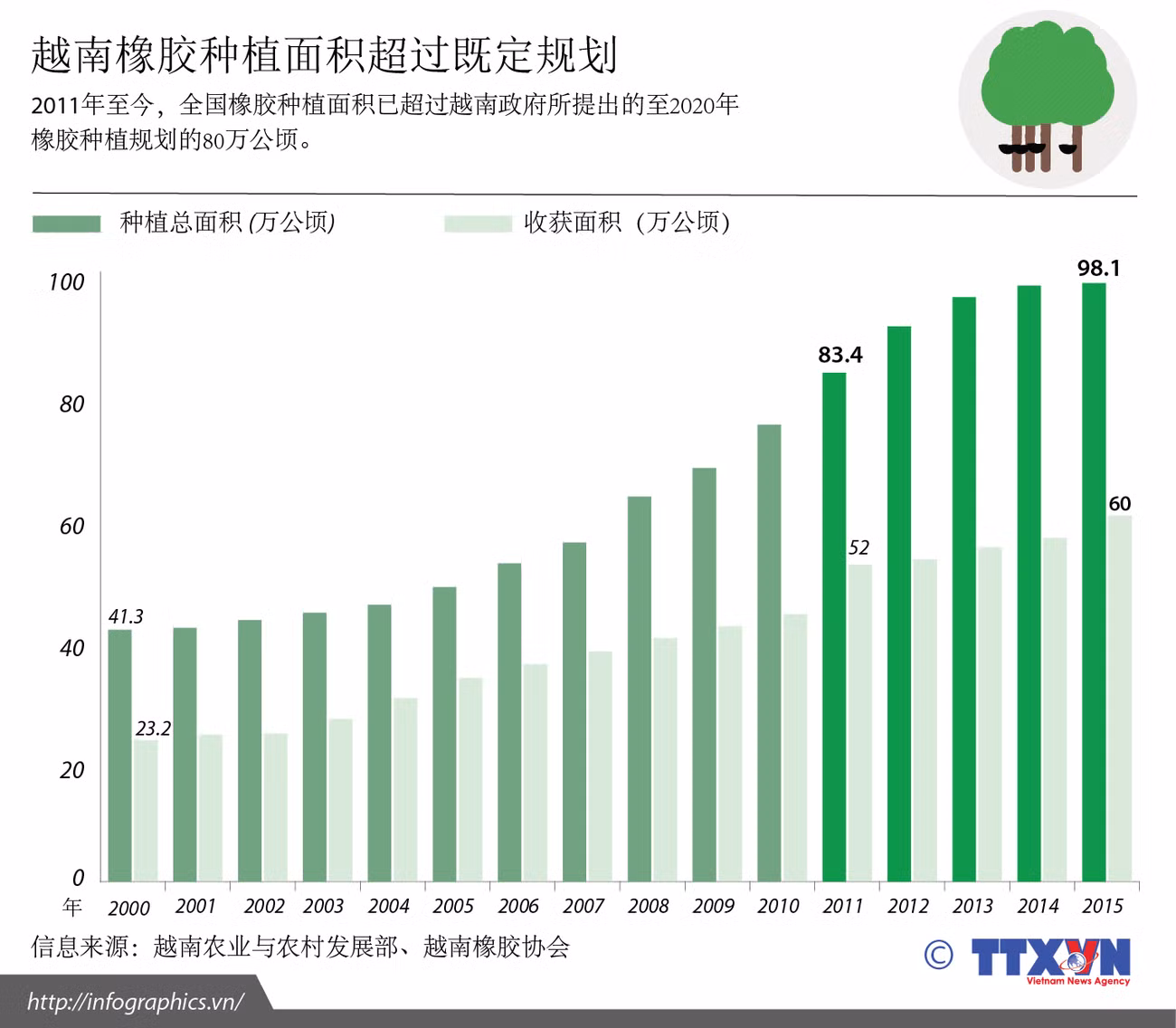 越南橡胶种植面积超过既定规划 ảnh 1