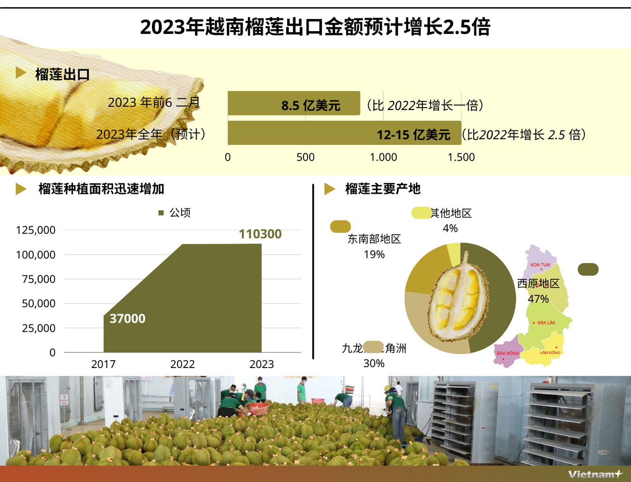 图表新闻：2023年越南榴莲出口金额预计增长2.5倍 ảnh 1