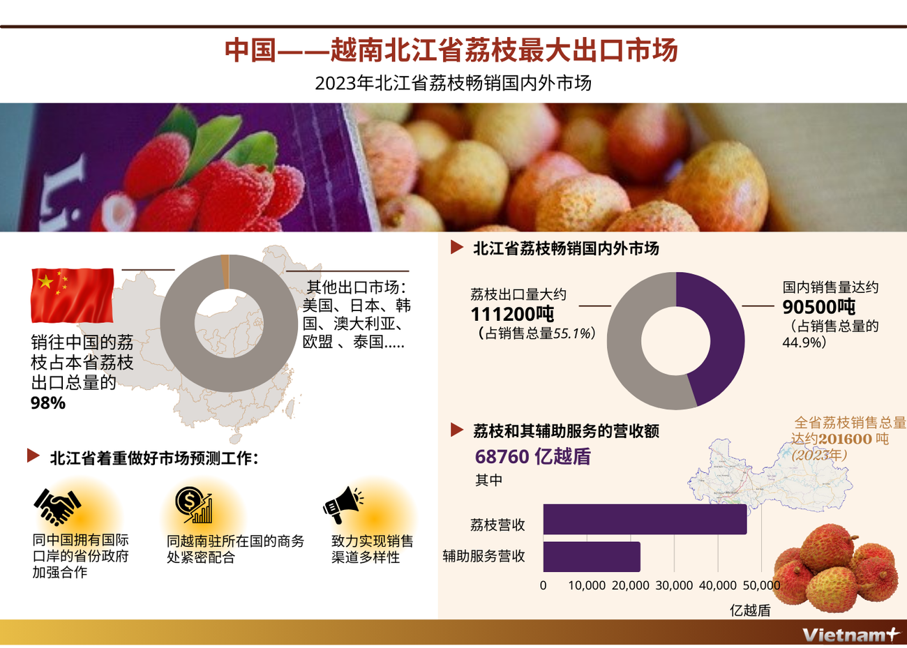 图表新闻：中国——越南北江省荔枝最大出口市场 ảnh 1