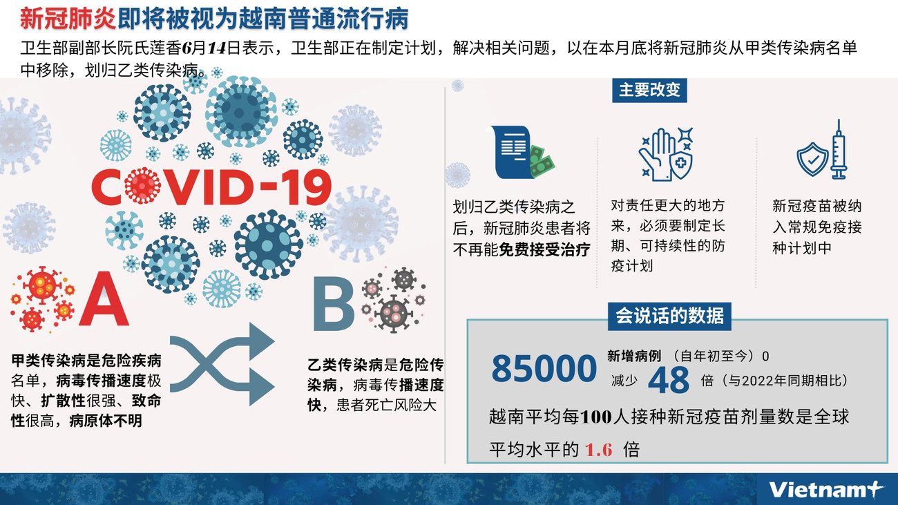 图表新闻：新冠疫情即将被视为越南普通流行病 ảnh 1