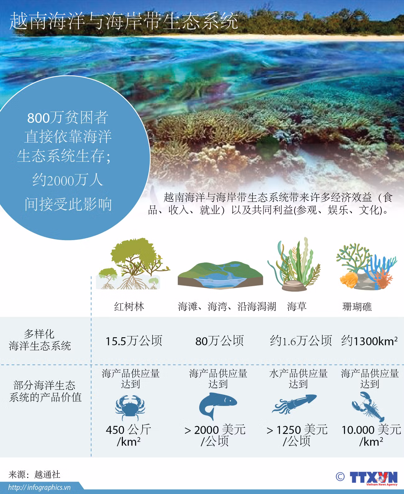 越南海洋与海岸带生态系统 ảnh 1