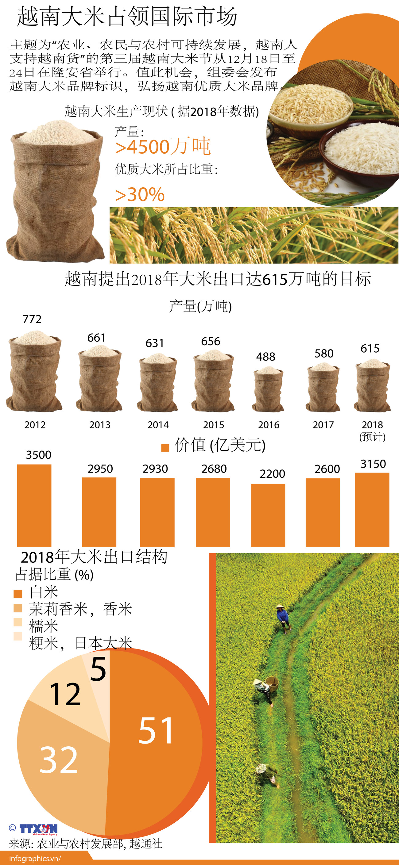 图表新闻：越南大米占领国际市场 ảnh 1