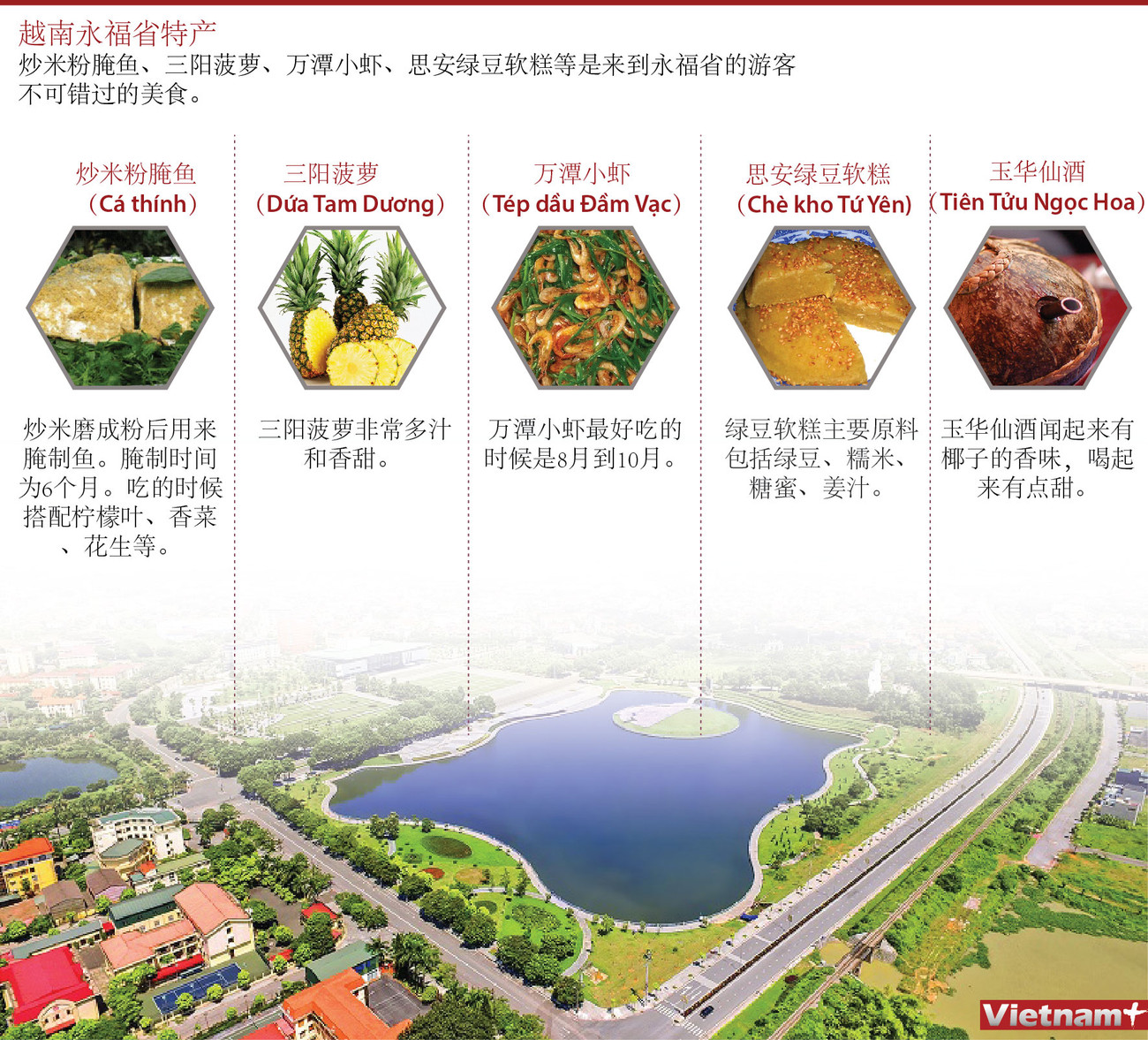 图表新闻：越南永福省特产 ảnh 1