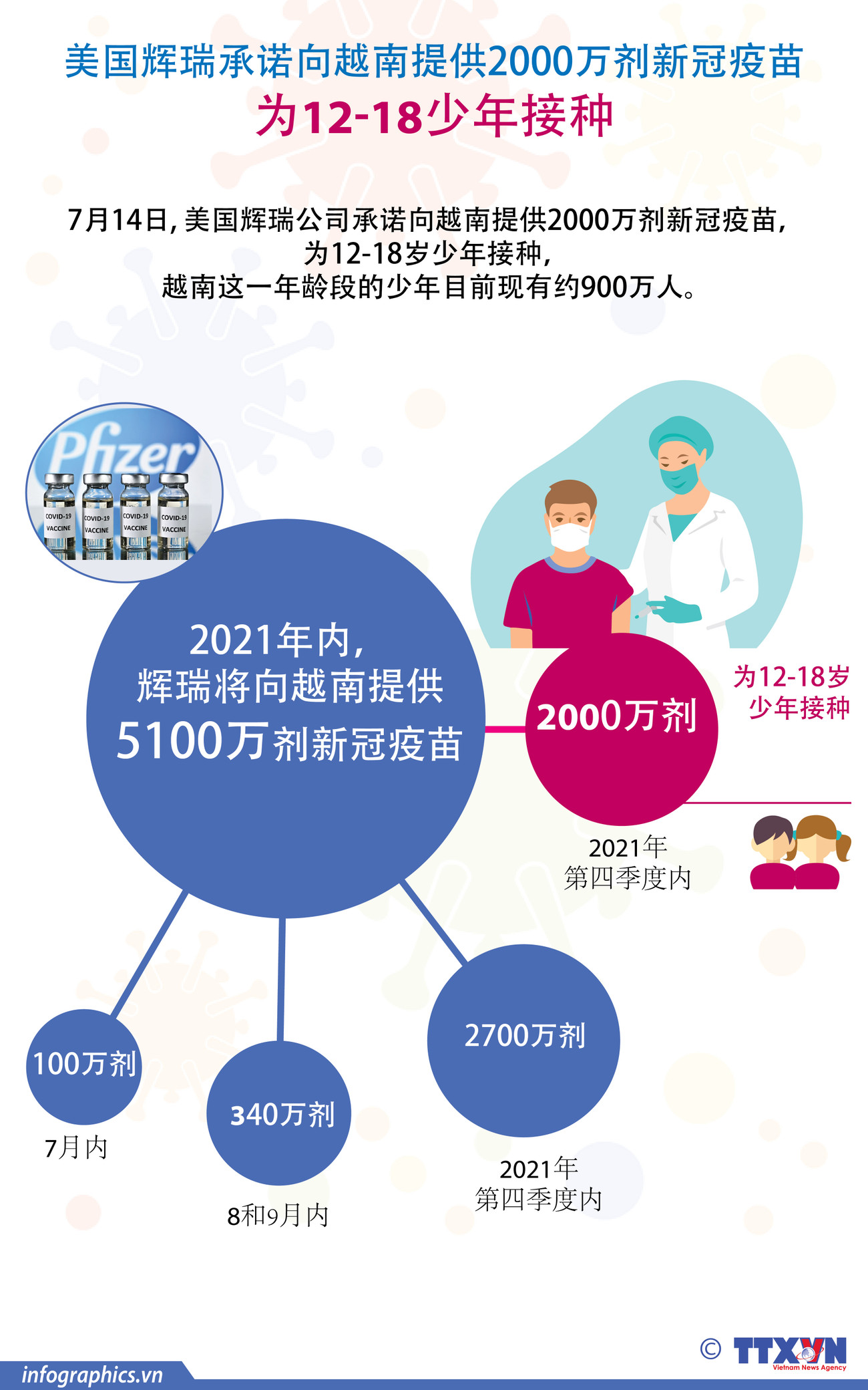 图表新闻：美国辉瑞承诺向越南提供2000万剂新冠疫苗 为12-18岁少年接种 ảnh 1
