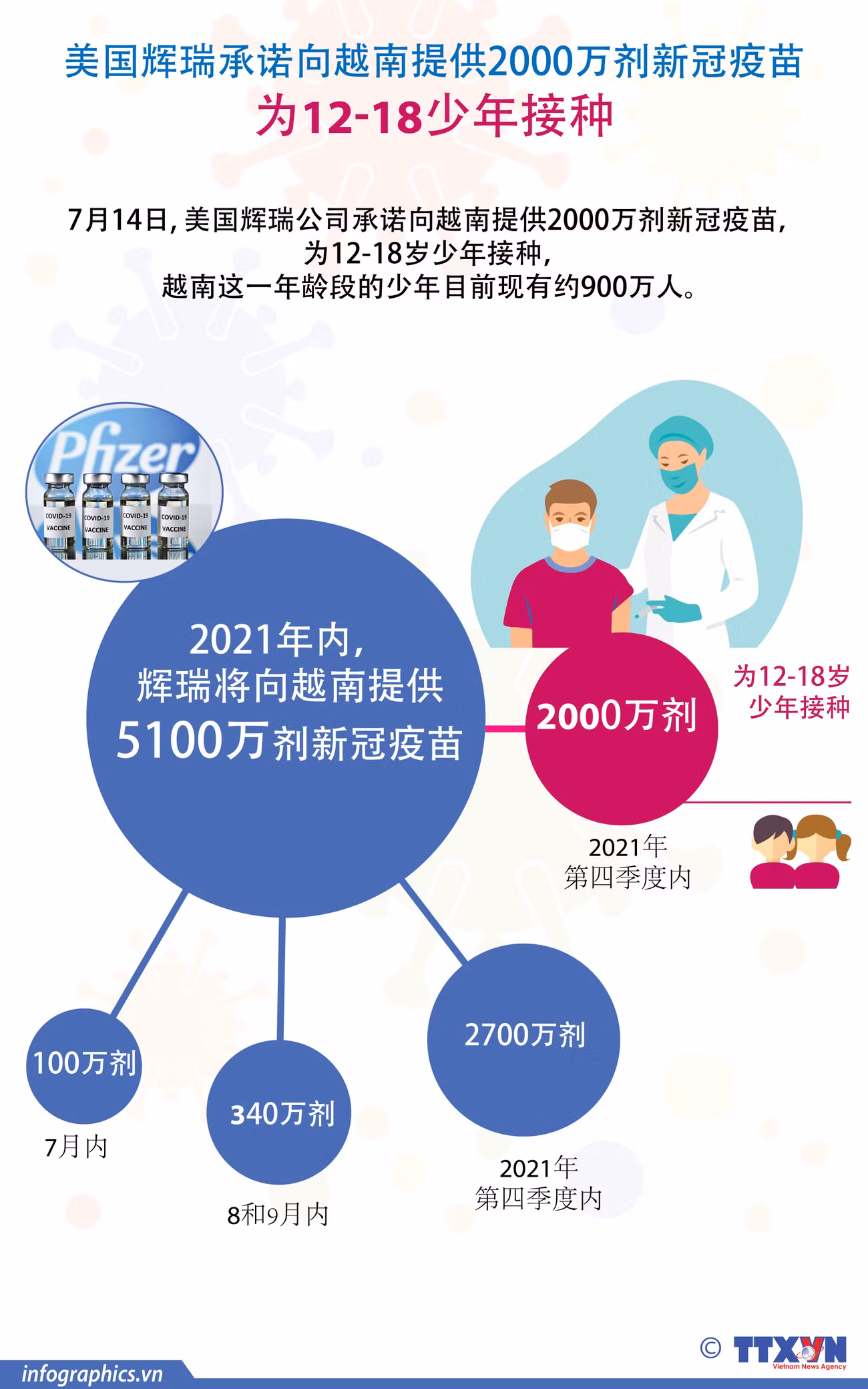 图表新闻：美国辉瑞承诺向越南提供2000万剂新冠疫苗 为12-18岁少年接种 ảnh 1