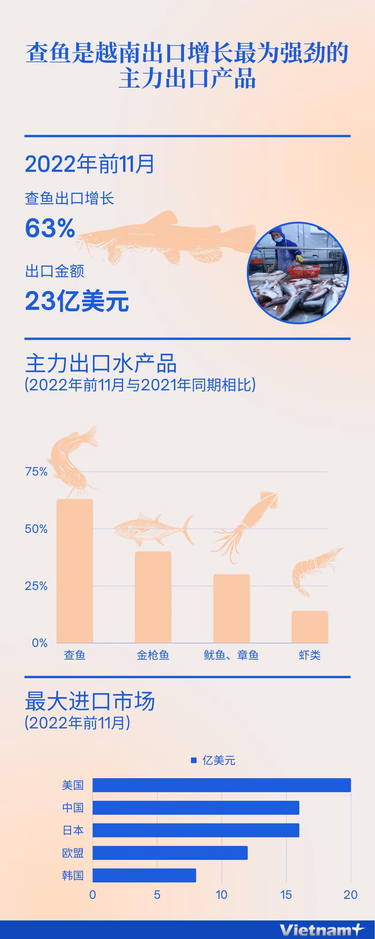 图表新闻：查鱼是越南出口增长最为强劲的主力出口产品 ảnh 1