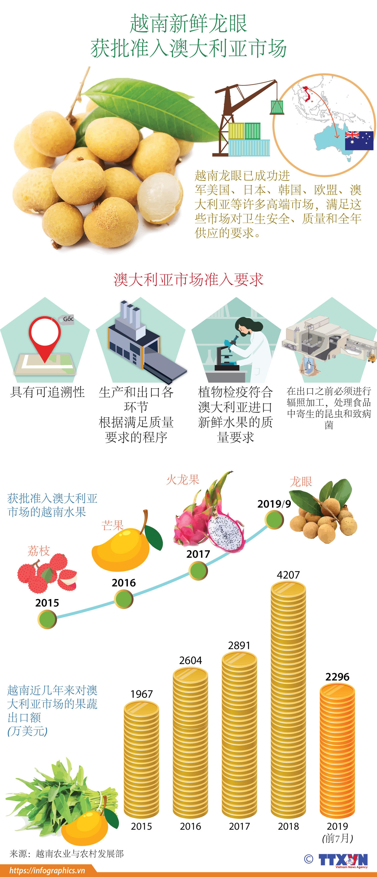 图表新闻：越南新鲜龙眼 获批准入澳大利亚市场 ảnh 1