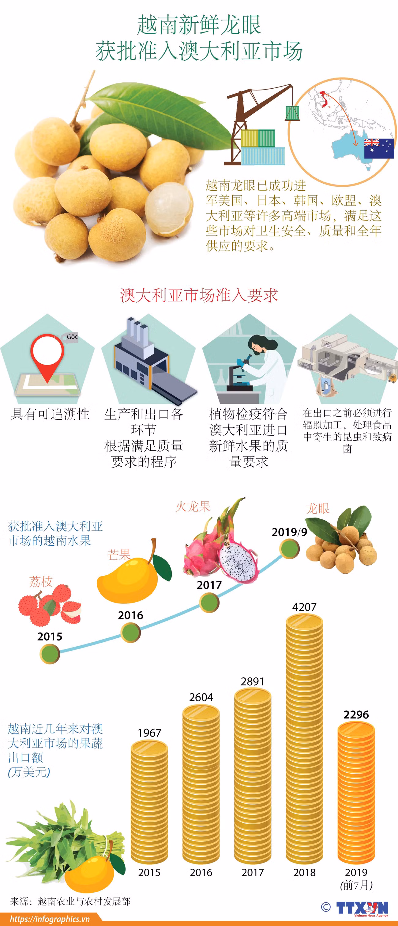 图表新闻：越南新鲜龙眼 获批准入澳大利亚市场 ảnh 1