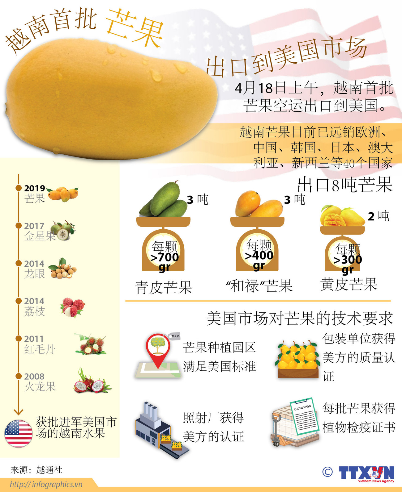 越南首批芒果出口到美国市场（图表） ảnh 1