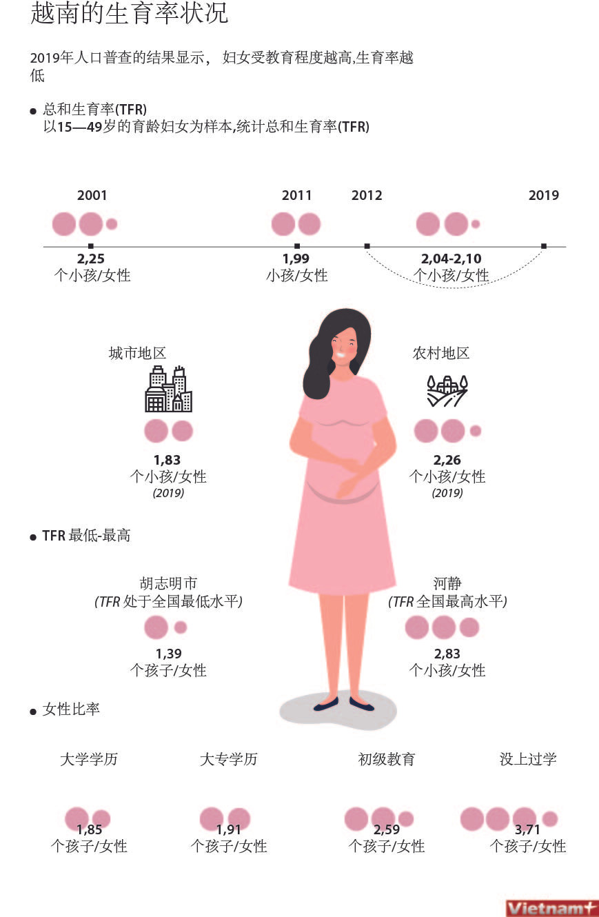 图表新闻：越南的生育率状况 ảnh 1
