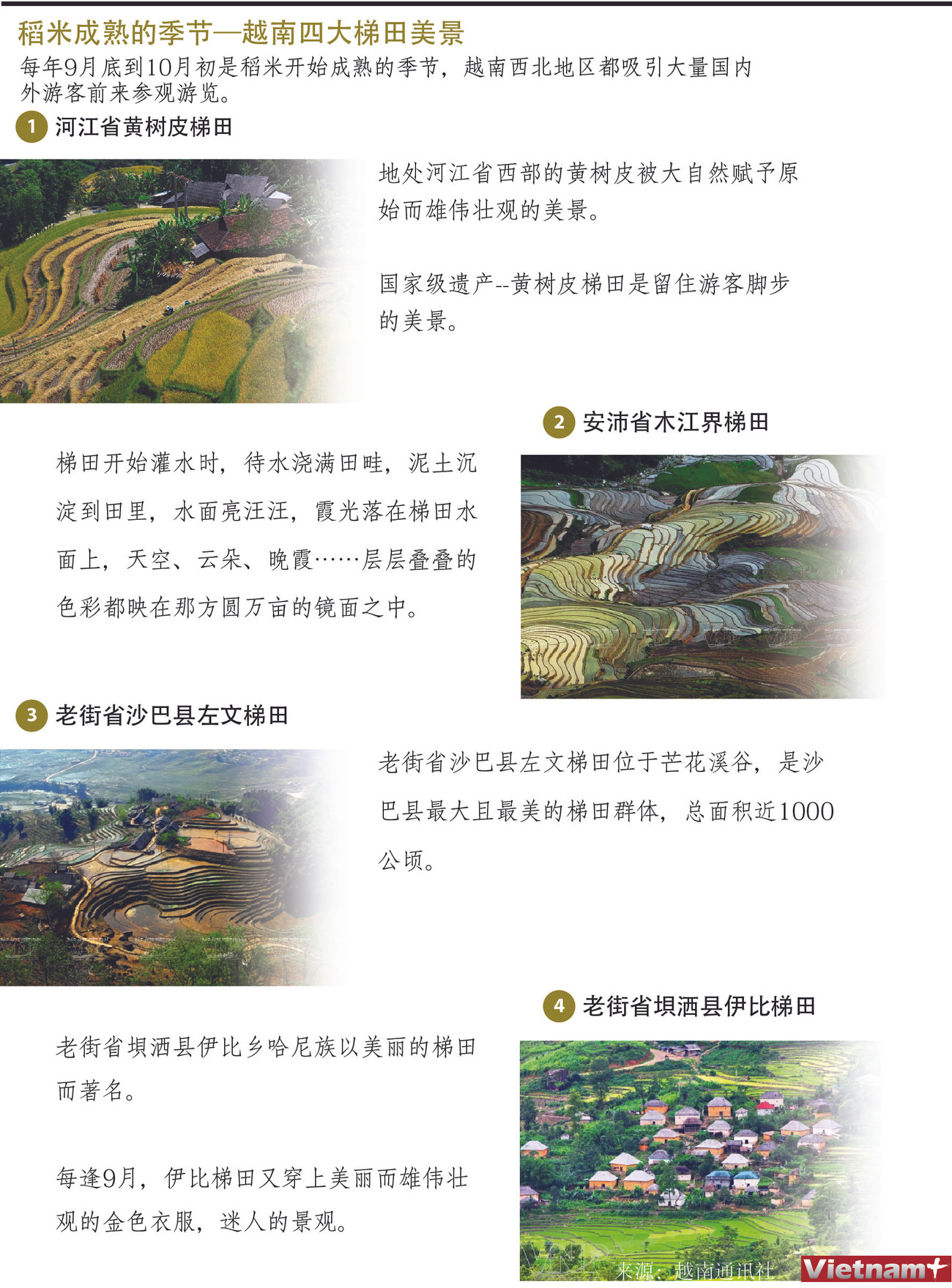 图表新闻：稻米成熟的季节—越南四大梯田美景 ảnh 1