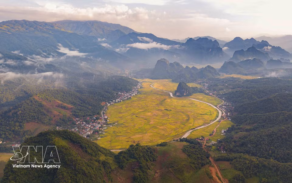 金黄的稻谷铺展在群山之间，构成程生山谷独具特色的美丽景致。图自越通社