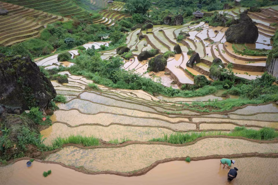 莱州省昆呵乡进入注水季， 梯田美成水彩画。图自越通社