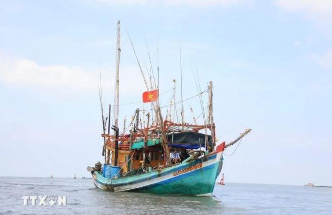 资料图。图自越通社 iuu-9246.jpg.webp