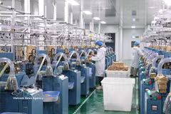 前7个月越南经济保持增长势头迈向两位数目标。图自越通社