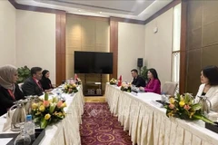 由越南国家审计副总审计长何氏美蓉率领的代表团，与阿拉伯联合酋长国（UAE）责任审计机构代表团举行了工作会谈。图自越通社