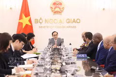 会见现场。图自越通社