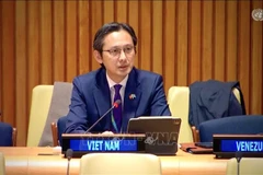越南常驻联合国代表团团长杜雄越大使出席专题全体讨论。图自越通社