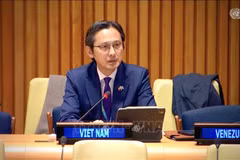 越南常驻联合国代表团团长杜雄越大使出席专题全体讨论。图自越通社