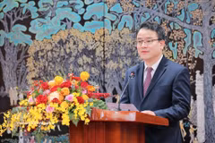 越南财政部副部长陈国方。图自越通社