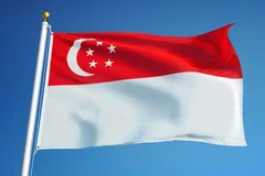 新加坡的国旗。图自互联网