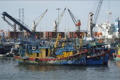 附图。图自越通社