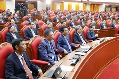 与会代表。图自越通社