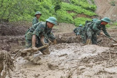 目前，公安、军队、民兵和各级组织力量等近700人参与救援行动。图自越通社