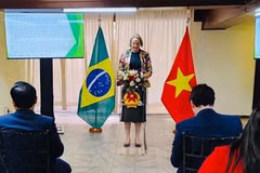 巴西计划自2026年2月起任命米雷拉·艾特。图自越通社