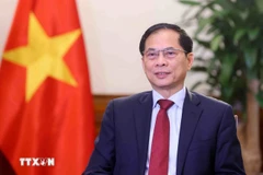 越南政府副总理兼外长裴青山。图自越通社