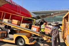 海防市吉碑国际机场“零费用”运送救灾物资至洪灾地区。图自越通社
