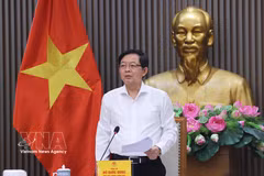 胡国勇副总理发表讲话。图自越通社