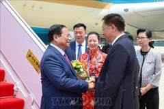 津市副市长王秀峰前往天津滨海国际机场迎接越南政府总理范明政及越南代表团。图自越通社