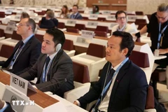 越南常驻联合国、世界贸易组织（WTO）及其他驻日内瓦国际组织代表团团长梅潘勇大使。图自越通社