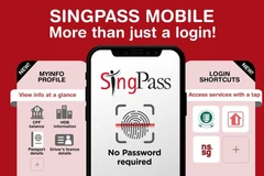 新加坡推动使用Singpass打击网络诈骗。图自越通社